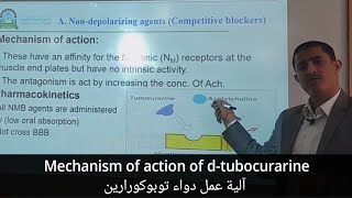 Mechanism of action of dtubocurarine آلية عمل دواء توبوكورارين [upl. by Ardnekat26]