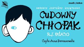 quotCudowny chłopakquot  audiobook [upl. by Ybbob]