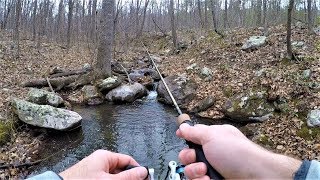 Native BROOK TROUT Fishing in TINY Mountain Stream [upl. by Paxton]