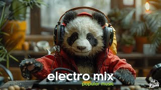 Electro Mix 2024 🎧 EDM Remixes of Popular Songs 🎧 EDM Gaming Music [upl. by Aida992]