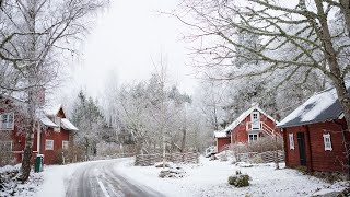 ▷ MY LITTLE VILLAGE IN THE SWEDISH COUNTRYSIDE [upl. by Art]