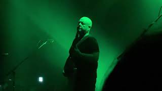 Pixies  Gouge Away Live in Japan 2022 [upl. by Barger]