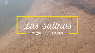 Biotopo acuático de agua salobre y ferrosa Las Salinas Trinidad de Viguera Oaxaca México [upl. by Hughes]