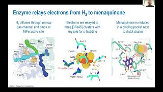 Hydrogenase Lectures 2022 Episode 4 Part 1 Chris Greening [upl. by Courtney]