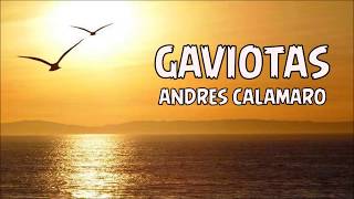 GAVIOTAS CON LETRA ANDRES CALAMARO [upl. by Latterll]