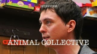 Animal Collective  Interview [upl. by Greyso230]