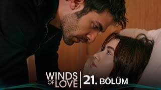 Rüzgarlı Tepe 21 Bölüm  Winds of Love Episode 21 [upl. by Trinetta]