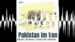 ASMR Yakherde im pakistanischen Gebirge Ambient 3DSound zum Einschlafen [upl. by Groscr]