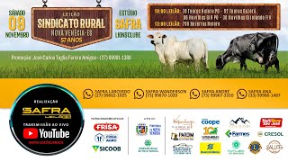 LEILÃO SINDICATO RURAL  Nova Venécia ES  SÁB09NOV  LEILÃO AO VIVO  SAFRA LEILÕES BRAZIL [upl. by Anima]