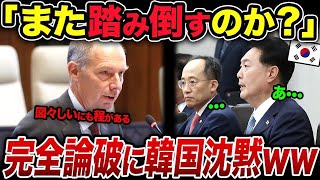 「日本ばっかりずるい！」K国が国際仲裁所で大敗北！三菱から踵落としを喰らって割高LNGをずっと輸入し続けるwww【総集編・海外の反応・ゆっくり解説】 [upl. by Leaj]