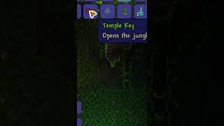 When you finally unlock the Jungle Temple in Terraria [upl. by Aicemaj]