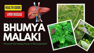 Bhumyamalaki Use of Chronic Liver Disease 😱 [upl. by Letta]