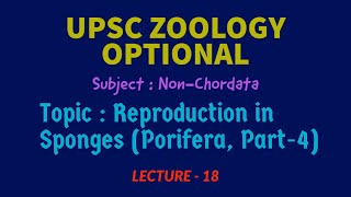 UPSC ZOOLOGY  NonChordata Lec 18  Reproduction in Sponges Porifera Part4  IAS  Dr RK Sir [upl. by Airahs773]