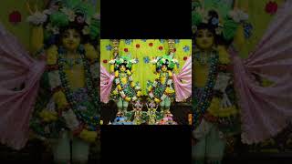 Radha Radha song [upl. by Tiffanie]