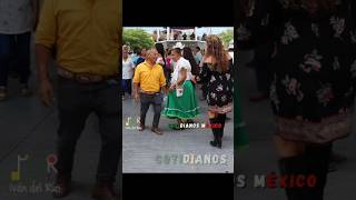 🥳💃💃💃 También el profe Cruz se echó su huapango de a 3 con doña Isi y otra bailadora en Xilitla [upl. by Lledyl]