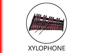 XYLOPHONE [upl. by Boeke]