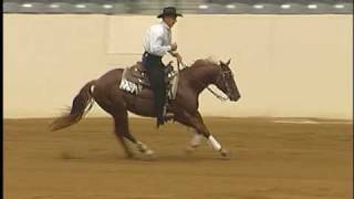 Reining Horses For Sale [upl. by Arleta]