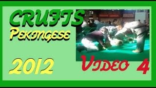 Crufts 2012 Pekingese Judging Part 44 [upl. by Selwyn]