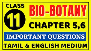 11th Bio Botany Chapter 5 important Questions  11th Bio Botany Chapter 6 important Questions [upl. by Dukey]