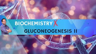 Video 8  Gluconeogenesis II [upl. by Onitselec833]