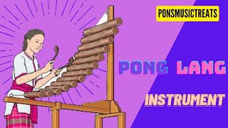 Pong Lang Instrument [upl. by Ebbie]