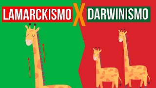 EVOLUÇÃO Lamarckismo e Darwinismo  RESUMO DE BIOLOGIA PARA O ENEM [upl. by Bj706]