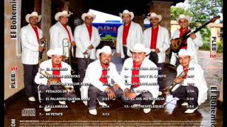 PEDAZOS DE MI  BANDA LOS PLEBESwmv [upl. by Chappell]