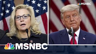 Liz Cheney Blasts GOPs Trump Obsession  The 11th Hour  MSNBC [upl. by Ricarda]