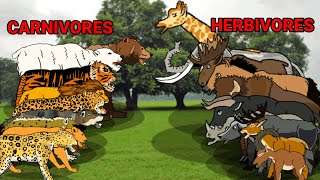 Carnivores Herbivores animation—all animation [upl. by Martinelli768]