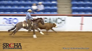 Clinton Anderson and Hulk 2020 SRCHA PreFuturity Cow Work [upl. by Oznarol]