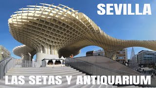 LAS SETAS DE SEVILLA Y EL ANTIQUARIUM [upl. by Meeharb]