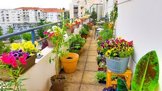 Planting a LOT Of Petunias On My Balcony [upl. by Torin]