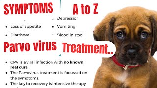 parvovirus in dogs  parvo dog virus treatment  parvovirus treatment  parvovirus symptoms  parvo [upl. by Mazlack]