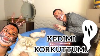 KAPLAN MASKESİ ile KEDİMİ KORKUTTUM [upl. by Nimrahc]