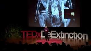 How we brought the condor back from the brink  Michael Mace  TEDxDeExtinction [upl. by Jule]