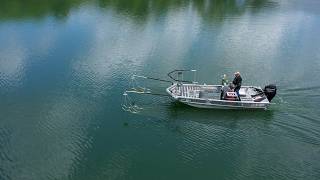 What is Electrofishing Monitoring Fish Populations in DuPage County [upl. by Mobley]