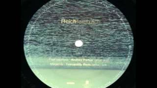 Steve Reich  Megamix  Mike Kandel Tranquility Bass Remix [upl. by Nicky]