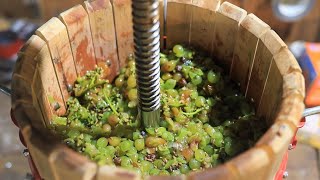 Making a White Wine from Grapes [upl. by Fabien]