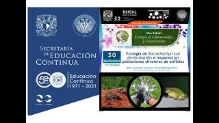 Ecología de Batrachochytrium dendrobatidis e impactos en poblaciones silvestres de anfibios [upl. by Mady]