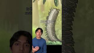 The Creepy Arthropleura prehistoric nature wildlife horror insects [upl. by Iilek866]