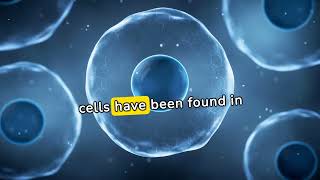 Why is cellular aging important  What is cellular aging  Why do cells age [upl. by Dnomad]