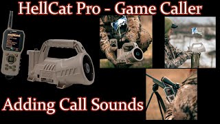 Adding Call Sounds to the FoxPro Hellcat Digital Game Caller [upl. by Woodford327]