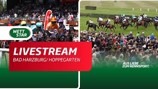 Livestream BerlinHoppegarten Bad Harzburg 2107 [upl. by Irvin]