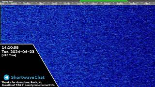 The Buzzer 4625 kHz USB  Live 🔴 [upl. by Anaiv]