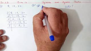 Ex53 Q910 Chapter5 Squares and Square Roots  Ncert Maths Class 8  Cbse [upl. by Cadman]