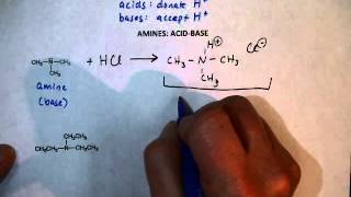 Amine Reactions AcidBase [upl. by Bysshe]