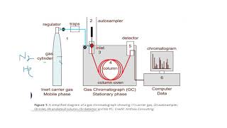 Gas ChromatographyGas LiquidGas SolidChromatogramGC MSLC MSMass SpectrometryUrduHindisaad [upl. by Idieh]