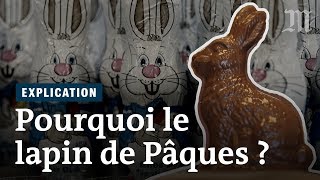 Pourquoi mangeton des lapins de Pâques [upl. by Leahcim122]