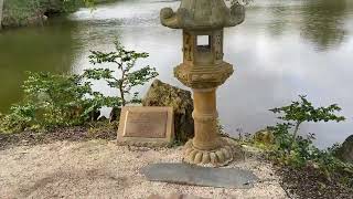 Morikami Museum amp Japanese Gardens delraybeachfl morikami [upl. by Perkin]