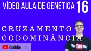 Vídeo Aula 16  Cruzamento Codominância [upl. by Moina861]